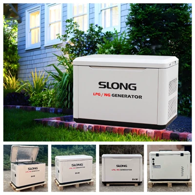 Quiet Natural Gas Home Generator 5kW 6kW 7kW 8kW 9KW Home Natural Gas Generator Dual Brændstofgenerator