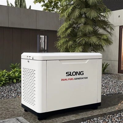 Dobbelt brændstof LPG -generator Naturgasgenerator til kommercielle applikationer